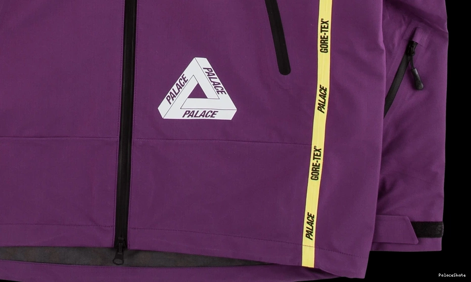 Affordable Palace Palex Gore-Tex Jacket 0730